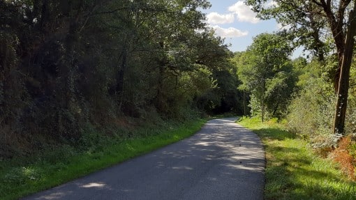 Image of country lane - Triathlon