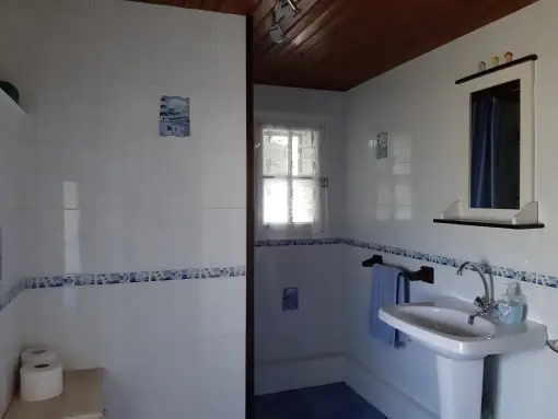 lpb shower Lpb shower