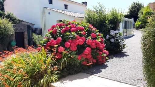 Rear of Le Marronier Conservatory at the rear of Le Marronnier. french farmhouse holidays