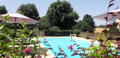 Pool-through-bushes-1-510x248-1 Pool through bushes 1 510x248